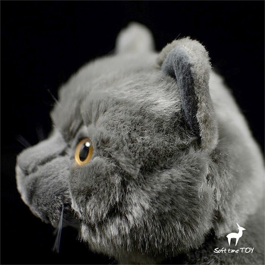 ☆ロシアンブルー☆ ぬいぐるみ・ | ぬいぐるみ専門店 くろにゃん