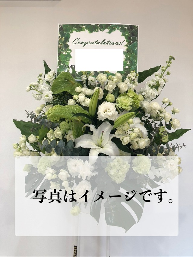 nine様