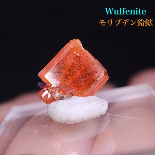 モリブデン鉛鉱 ウェルフェナイト  0.9g WF132 天然石 鉱物 原石