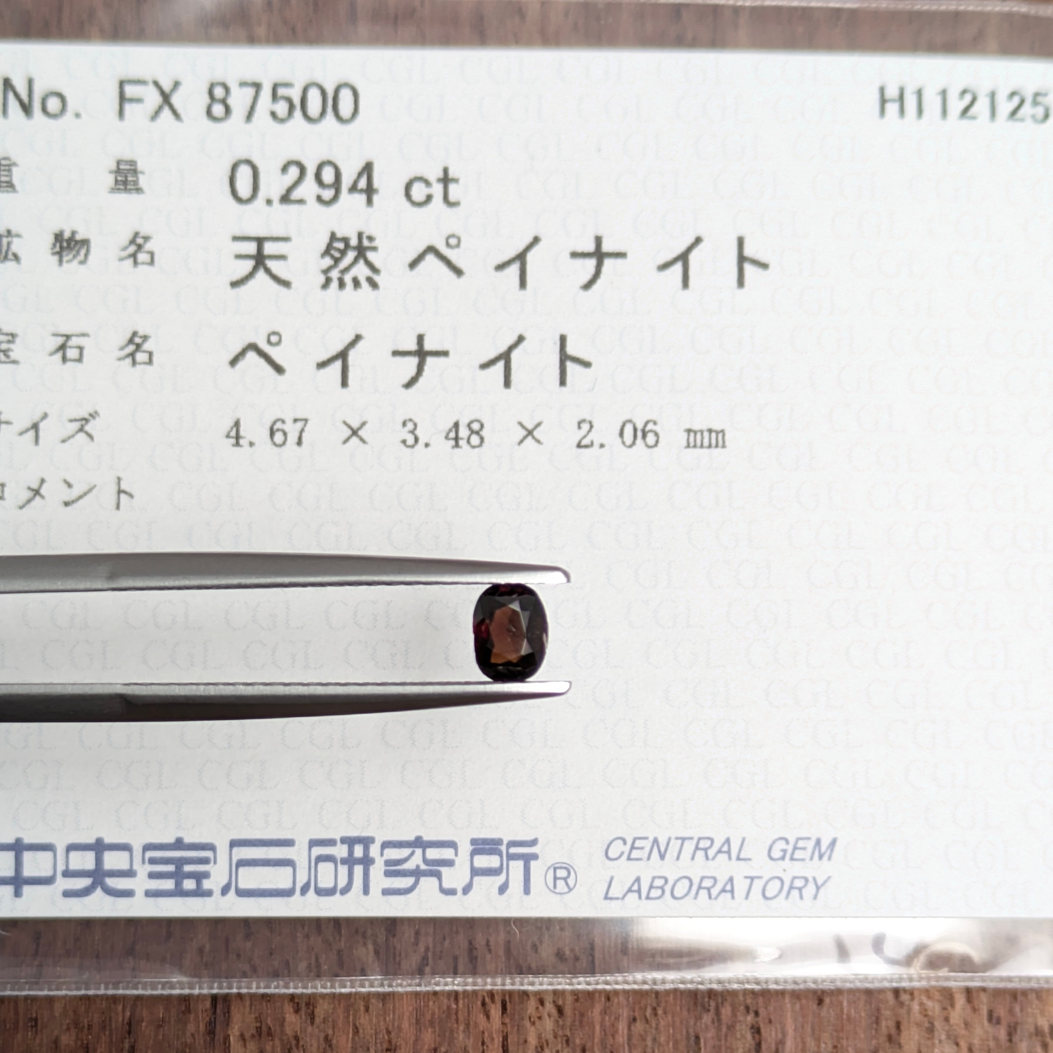 ガウリシャンカールガネーシャカーヴィング | Pay ID