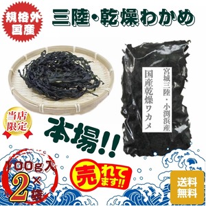 規格外　宮城・三陸小渕浜産　乾燥ワカメ　１００g /袋×２袋　送料無料