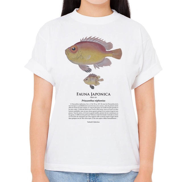【チカメキントキ】シーボルトコレクション魚譜Tシャツ（高解像・昇華プリント）