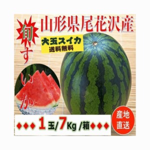 早期予約受付中　山形県産　ご家庭用　尾花沢すいか　1箱 約 1玉（約 ７kg /２Lサイズ）送料無料