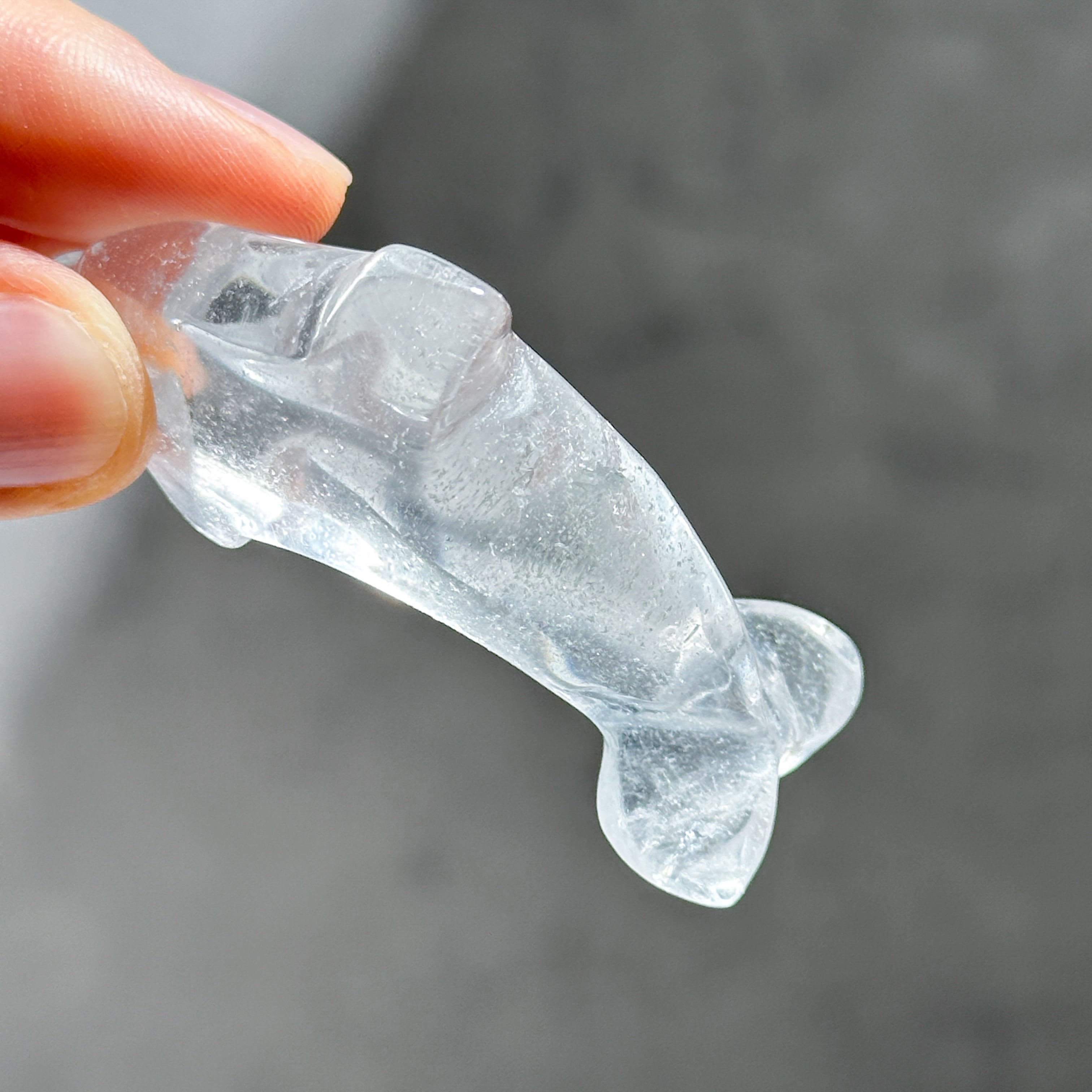 透明感◎クリアクォーツ ミニイルカ11◇Clear Quartz◇ 天然石・鉱物