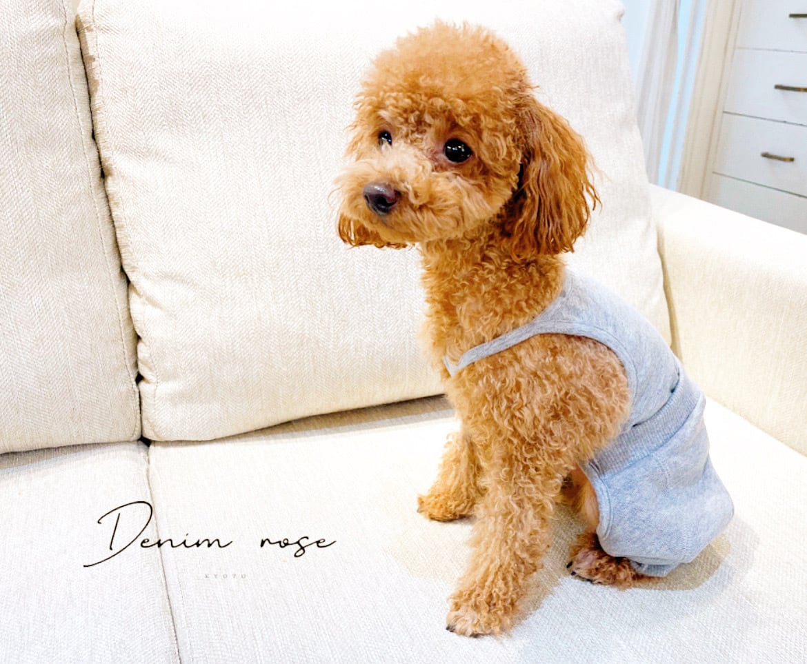 スウェットパンツ | DENIM ROSE