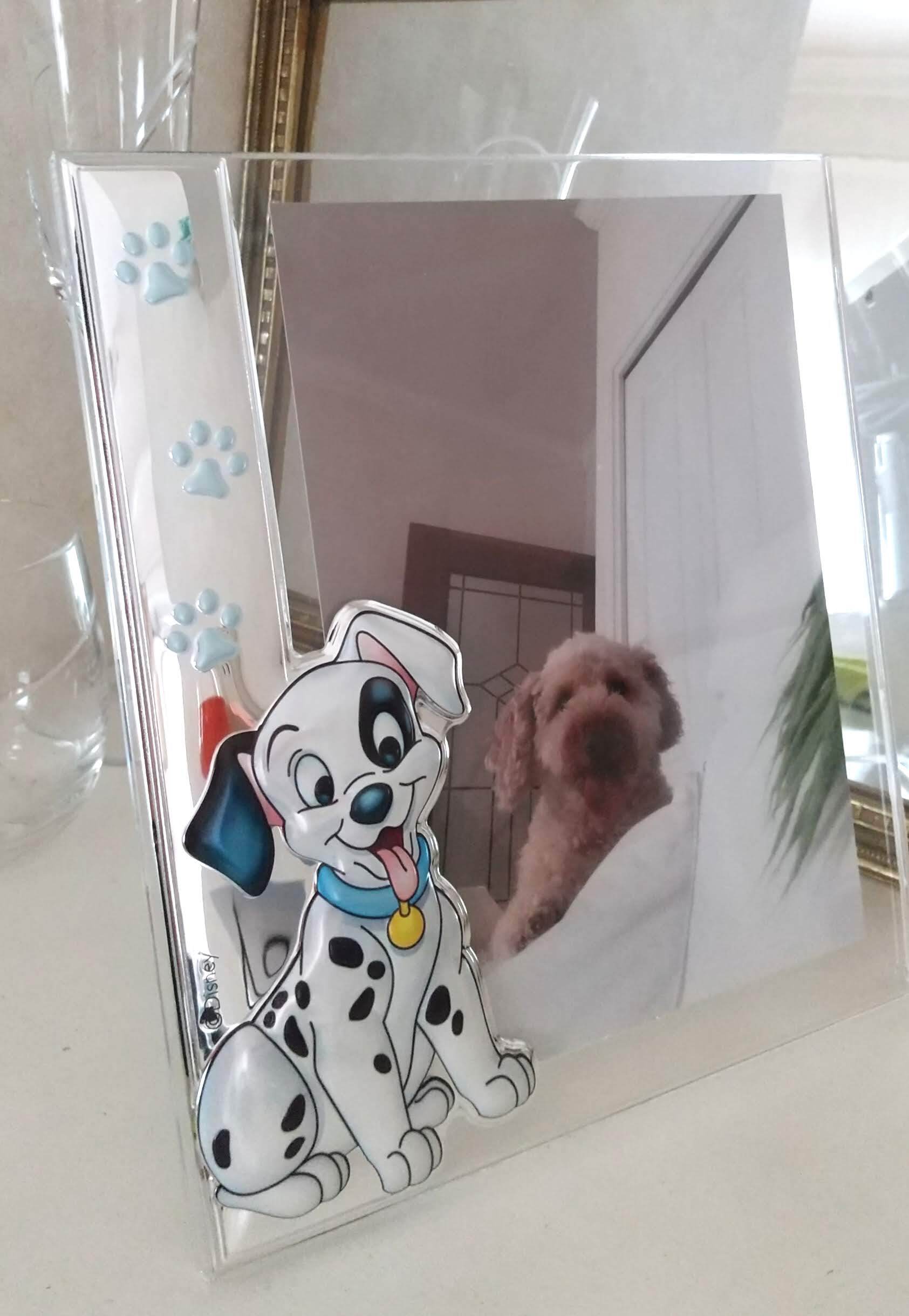 プレキシガラスフォトフレームA 〈101匹わんちゃん〉 | ヴァレンティ Japan