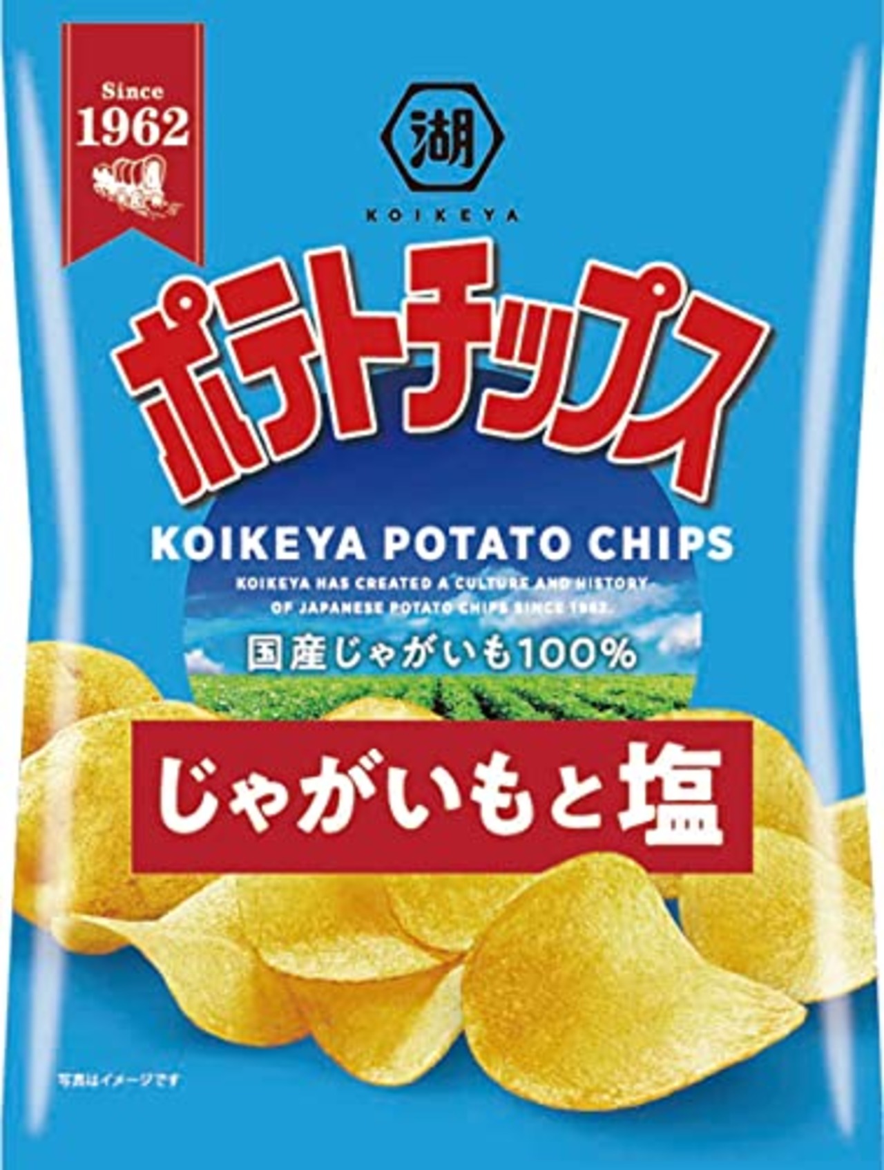 湖池屋　ポテトチップス　じゃがいもと塩　55g?12袋