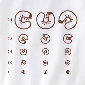 おもしろ 視力検査ができる Tシャツ os01 カブトムシ クワガタ 幼虫 おもしろ tシャツ 昆虫