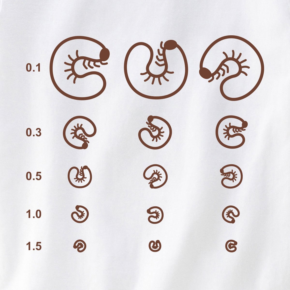 おもしろ 視力検査ができる Tシャツ os01 カブトムシ クワガタ 幼虫 おもしろ tシャツ 昆虫