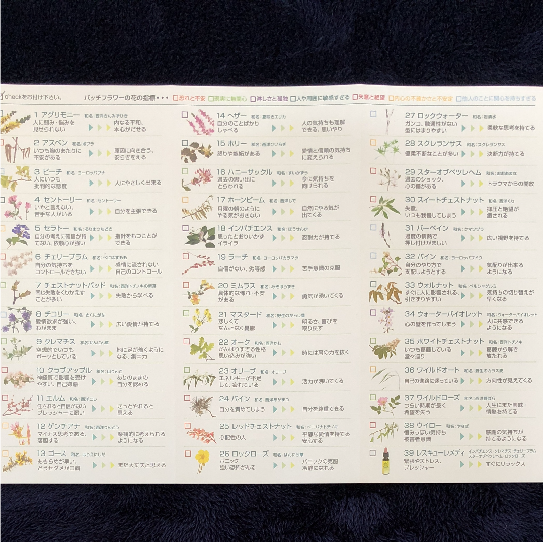 選べてお得なバッチフラワーレメディ 4本セット フラワーエッセンス