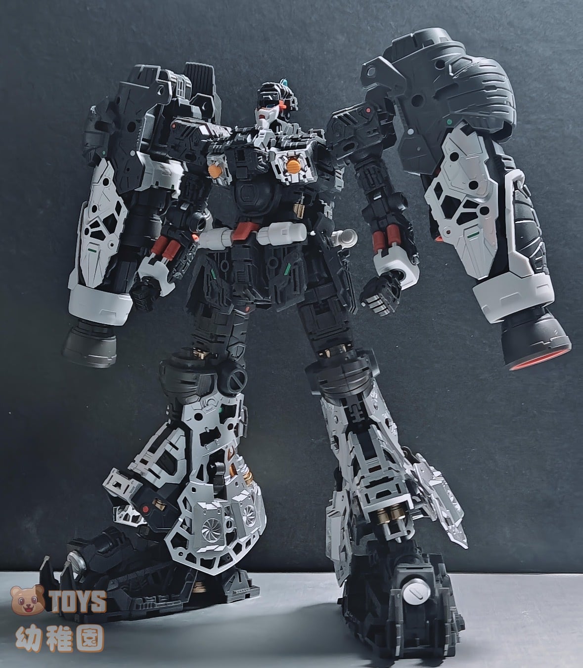 SOLOMON/ソロモン】1/100 サイサリス PHYSALIS 試作2号機 再販 組立式