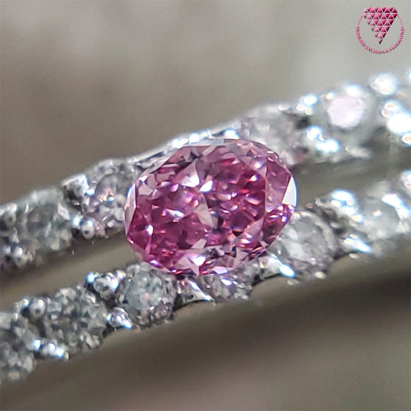 売約済 0.037 ct Fancy Vivid Purplish Pink VVS2 CGL 天然 ピンク ダイヤモンド ルース オーバル  ヴィヴィッド パープリッシュ ピンク ダイヤモンド | DIAMOND EXCHANGE FEDERATION