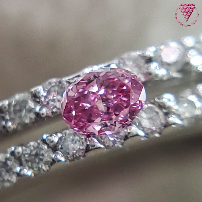 売約済 0.037 ct Fancy Vivid Purplish Pink VVS2 CGL 天然 ピンク