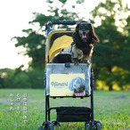 【★光る】カートプレート〈ヴィンテージstyle〉