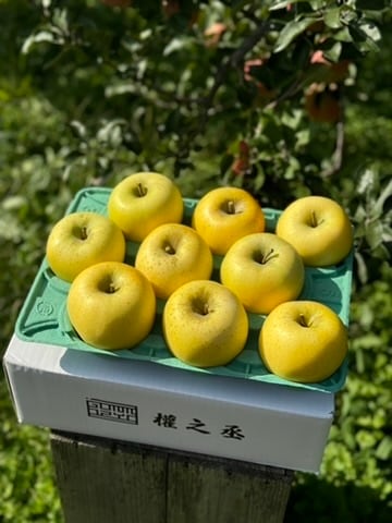 シナノゴールド家庭用　3kg