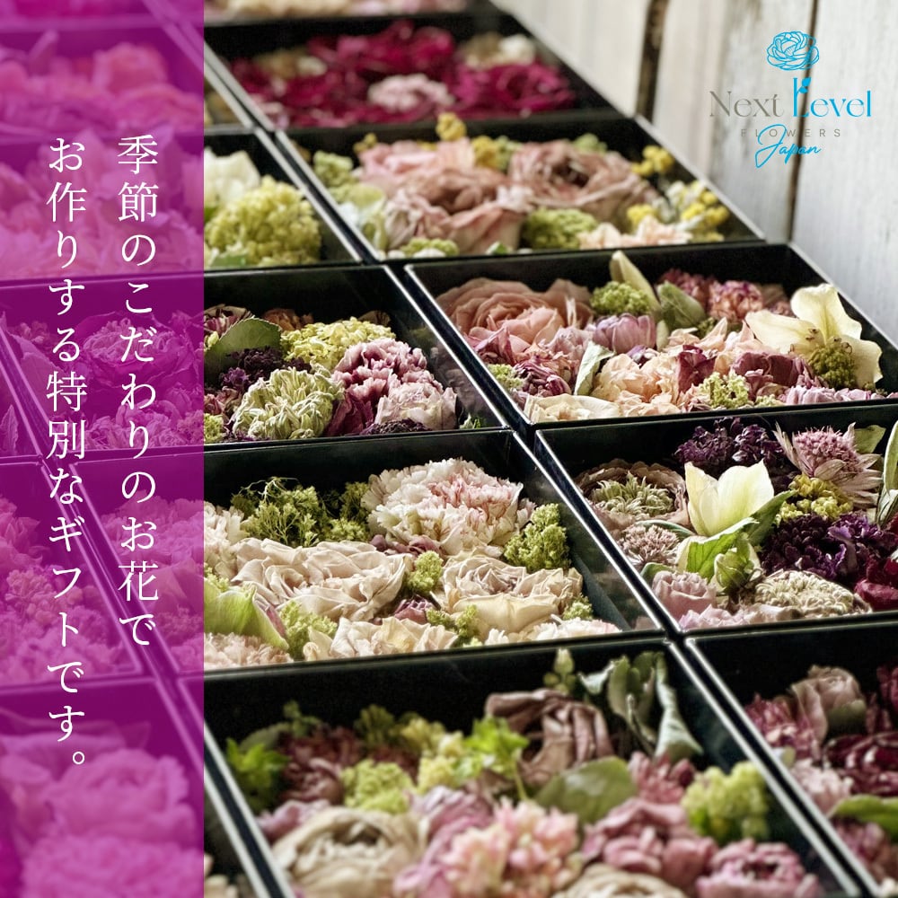 フリーズドライフラワー アレンジギフト 水のいらない花「ゼロ・モダン