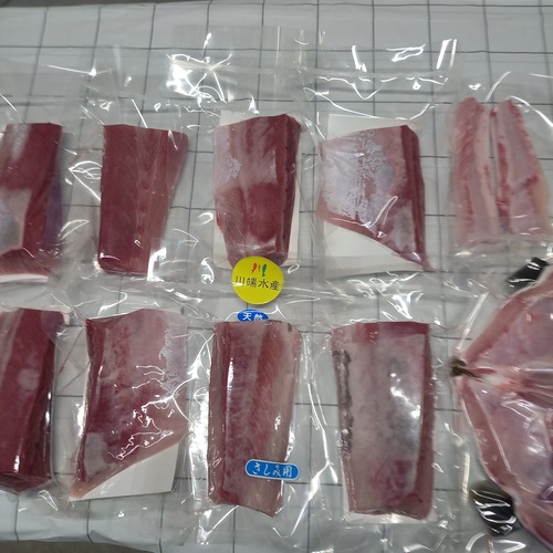 天然ブリ冷凍鮮魚丸ごと1本セット(予約)