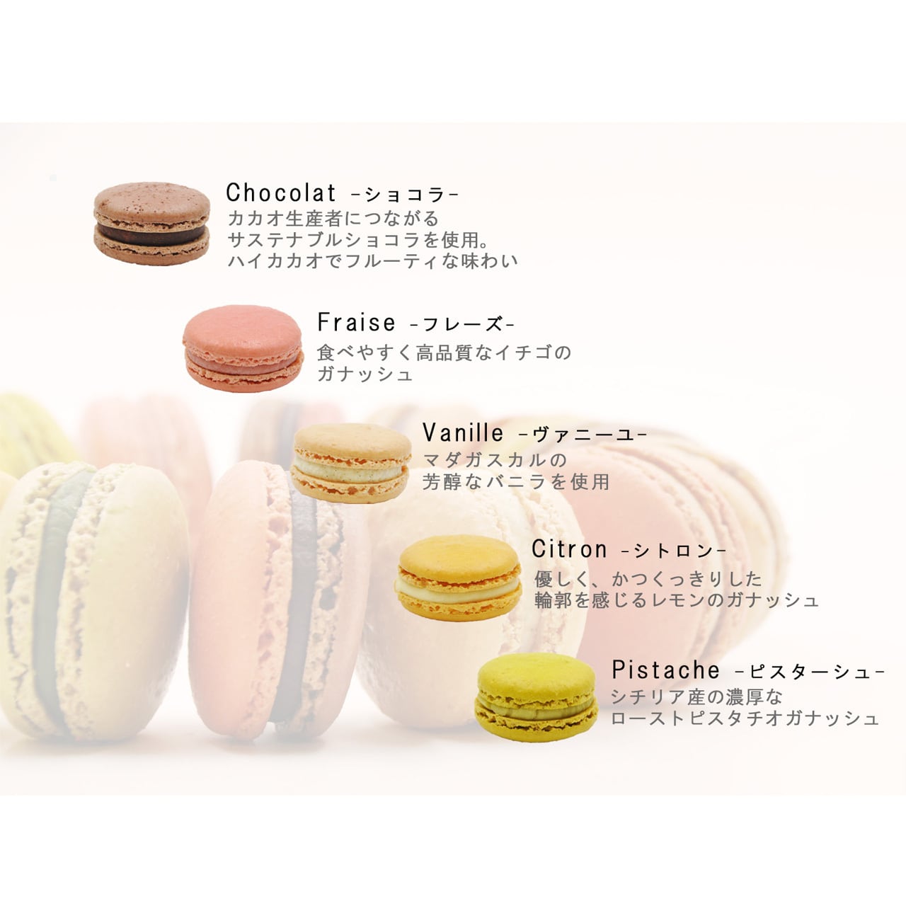 マカロン 5個入り | アイスケーキや焼き菓子のお取り寄せ通販 モンシェリー