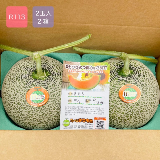 最高級富良野メロン　R113　秀品　特大玉（2.0キロ〜2.5キロ）2玉入×2箱