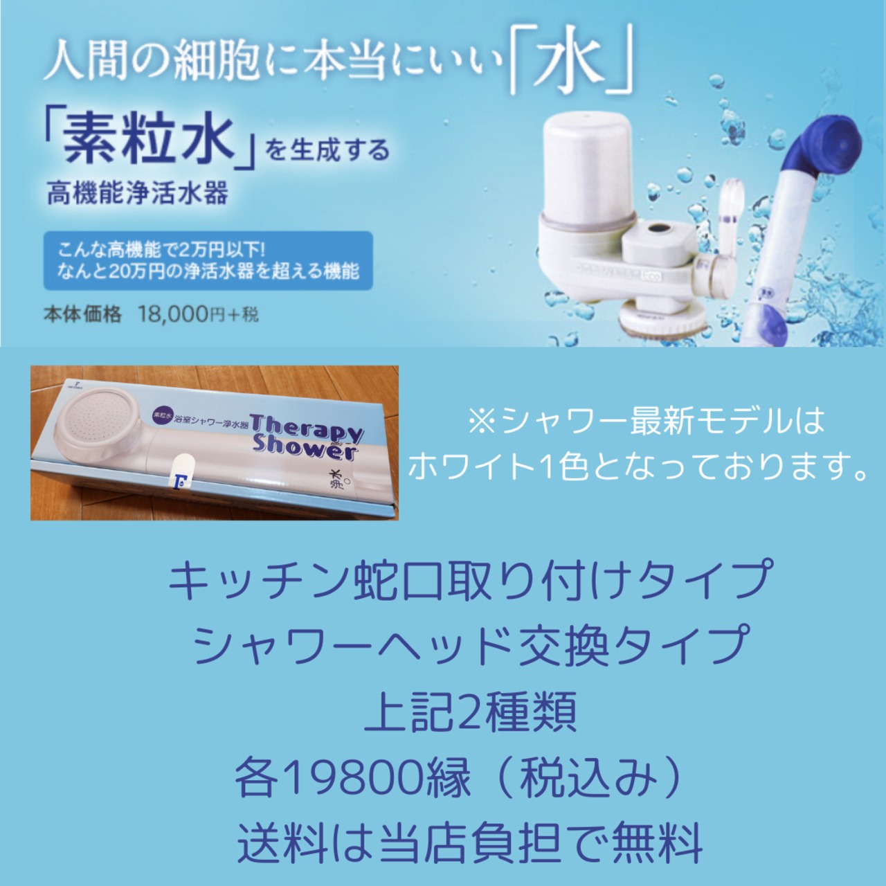 シャワー用浄水器・活水器（素粒水） セラピーシャワー ホワイト 本体 