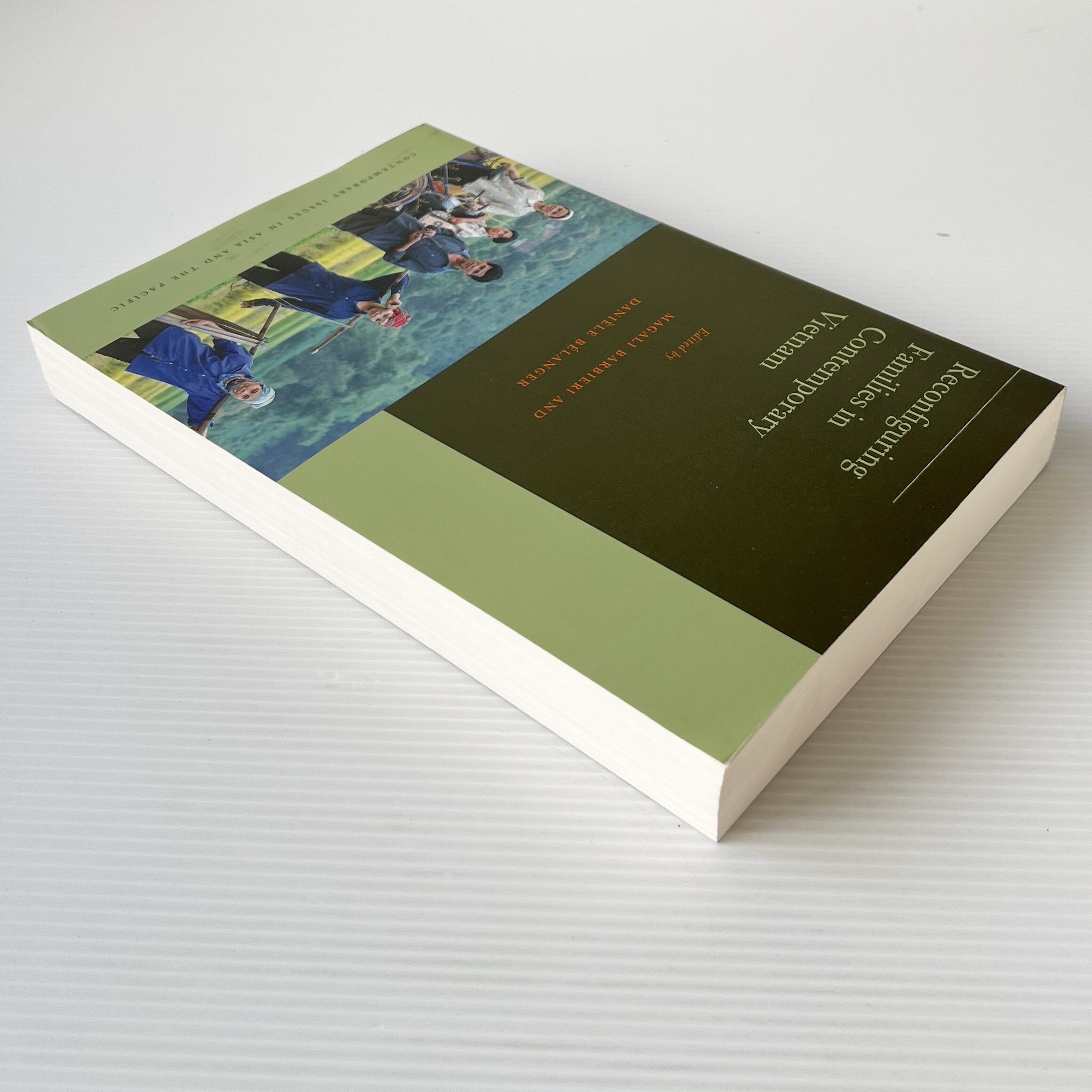 Reconfiguring Families in Contemporary Vietnam <Contemporary Issues in Asia and the Pacific> / Magali Barbieri, Daniele Belanger / Stanford University Press