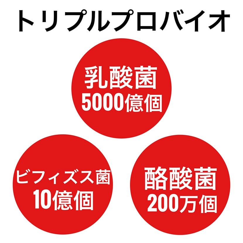 アウトレット 訳あり リタヘルス5000(約1カ月分)  乳酸菌 酪酸菌 ビフィズス菌 単品1袋