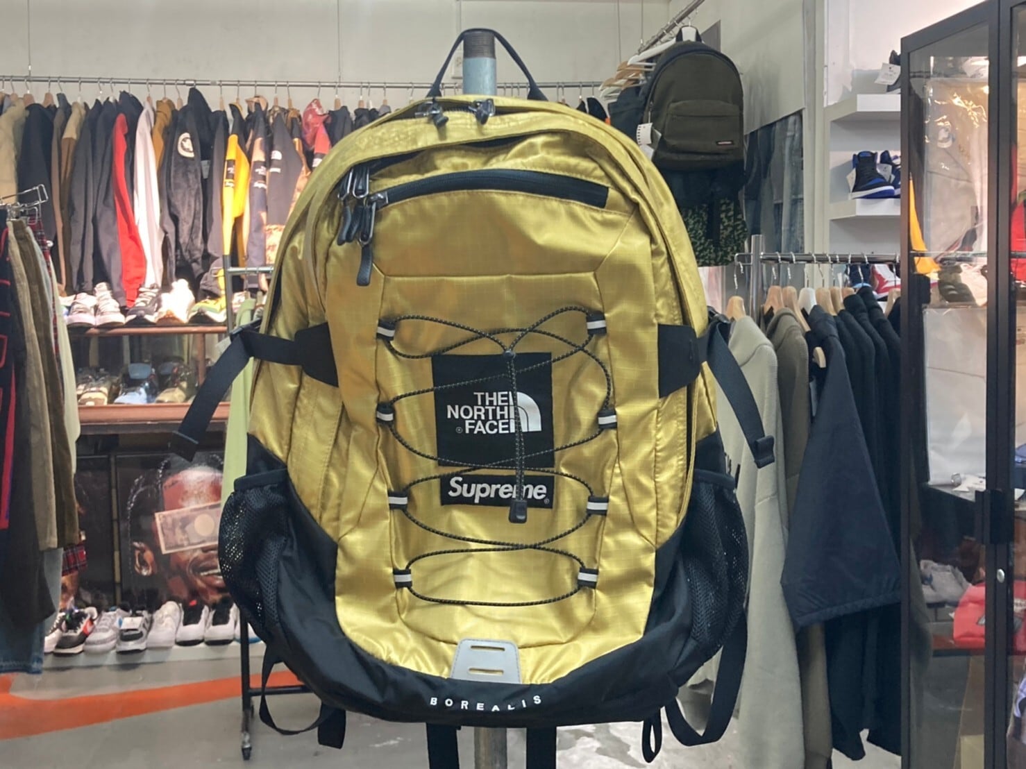 Supreme The North Face Metallic Backpack