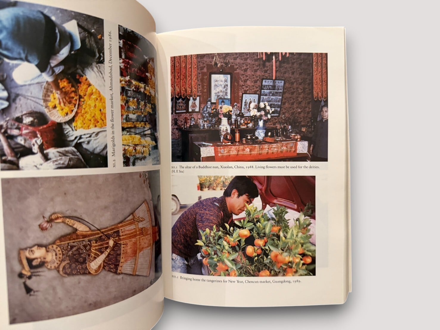 SS221】【REPRINT】The Culture of Flowers(1993) /Jack Goody