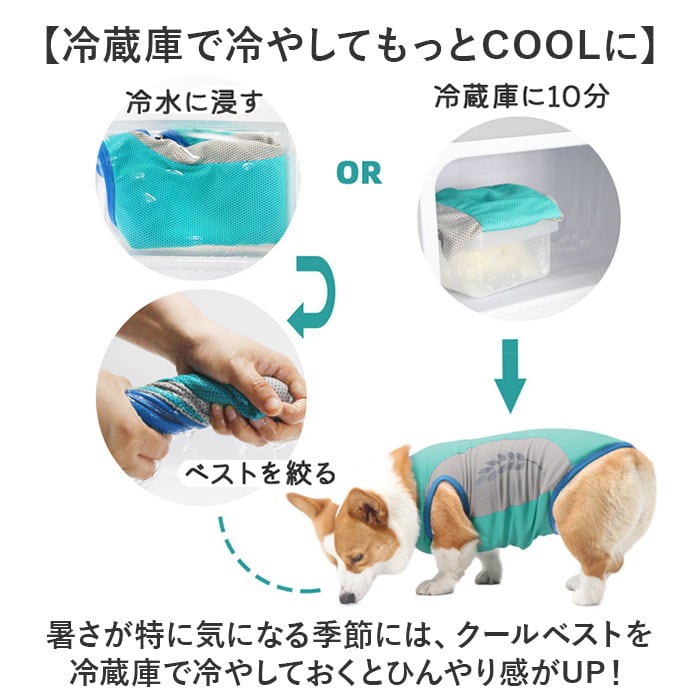 クールベスト 犬用 通販 犬 クーリングベスト 夏 クール ベスト 犬服