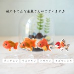 ◌金魚の涼飾り◌ トサキン(土佐金・土佐錦)　和紙アクアリウム／和紙インテリア