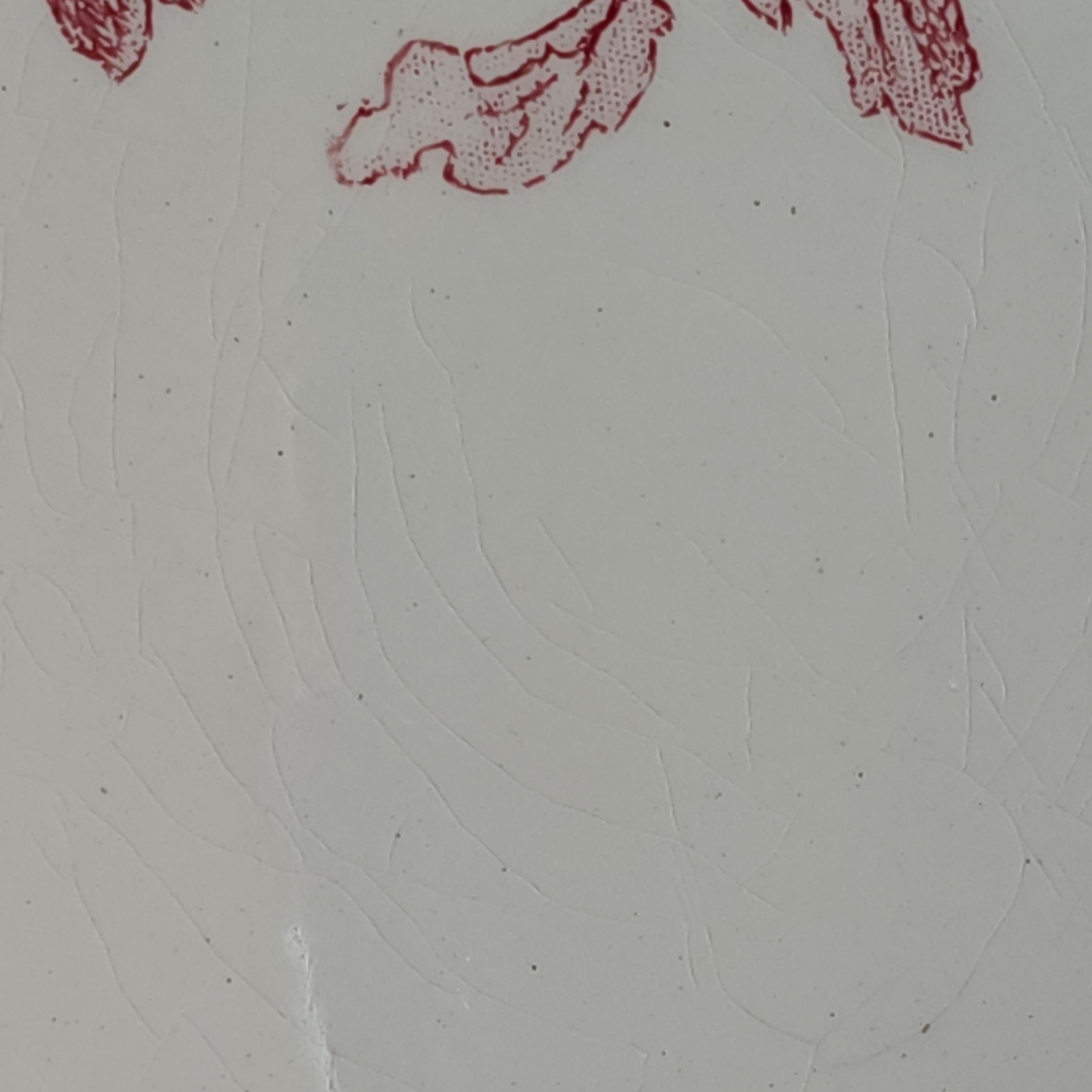 Sarreguemines サルグミンヌ デザートプレート / FAVORI #3 | デザート