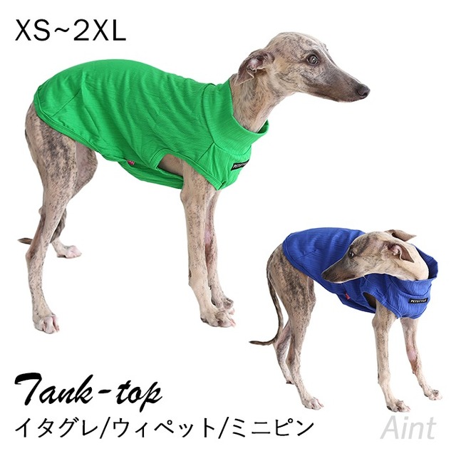 イタグレ タンクトップ 袖なし ウィペット ミニピン イタグレ服 無地 鮮やか 部屋着 犬 服 XS~2XL イタリアングレーハウンド 犬服 ミニチュアピンシャー サイトハウンド グリーン ブルー IG042T