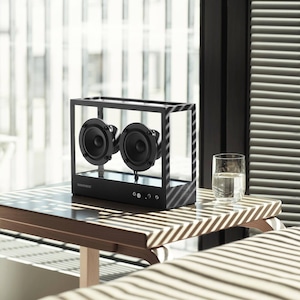 SMALL TRANSPARENT SPEAKER (BLACK)