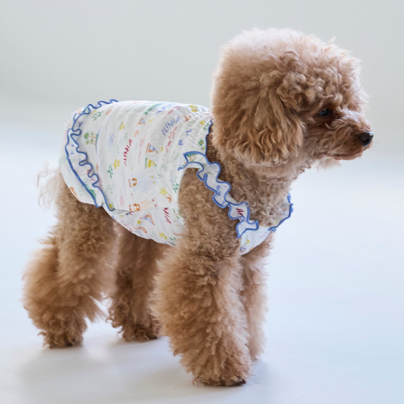 No.41 ハンドメイド犬服 さらりインド綿のシャーリングワンピ 265502】冷感シャーリングワンピース | 犬服ブランド 2e deuxieme cale