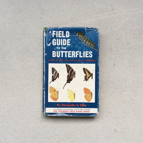 A Field Guide to the Butterflies