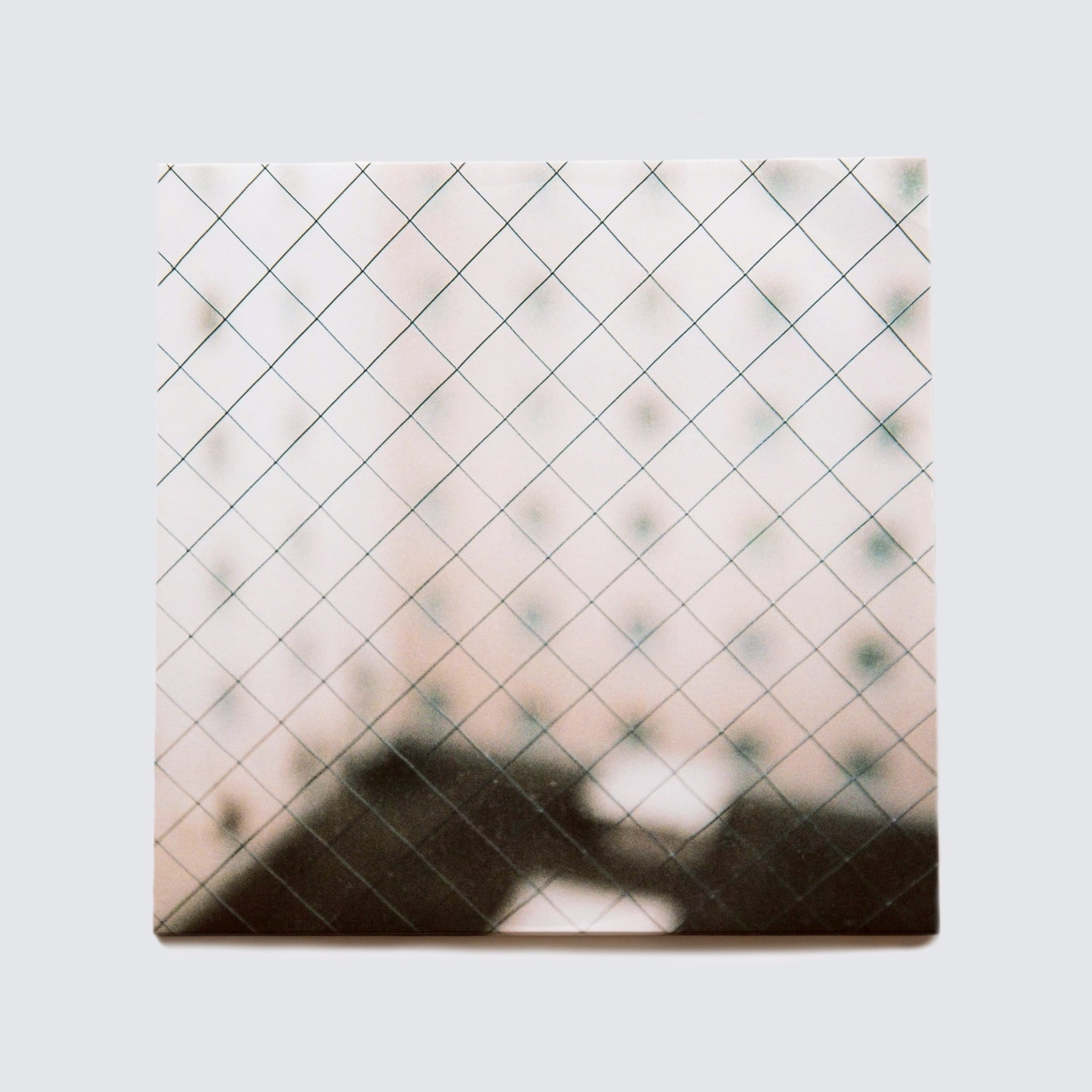 LP) 