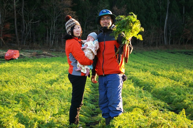 【リニューアル!】野菜計画の"濃い味"野菜箱