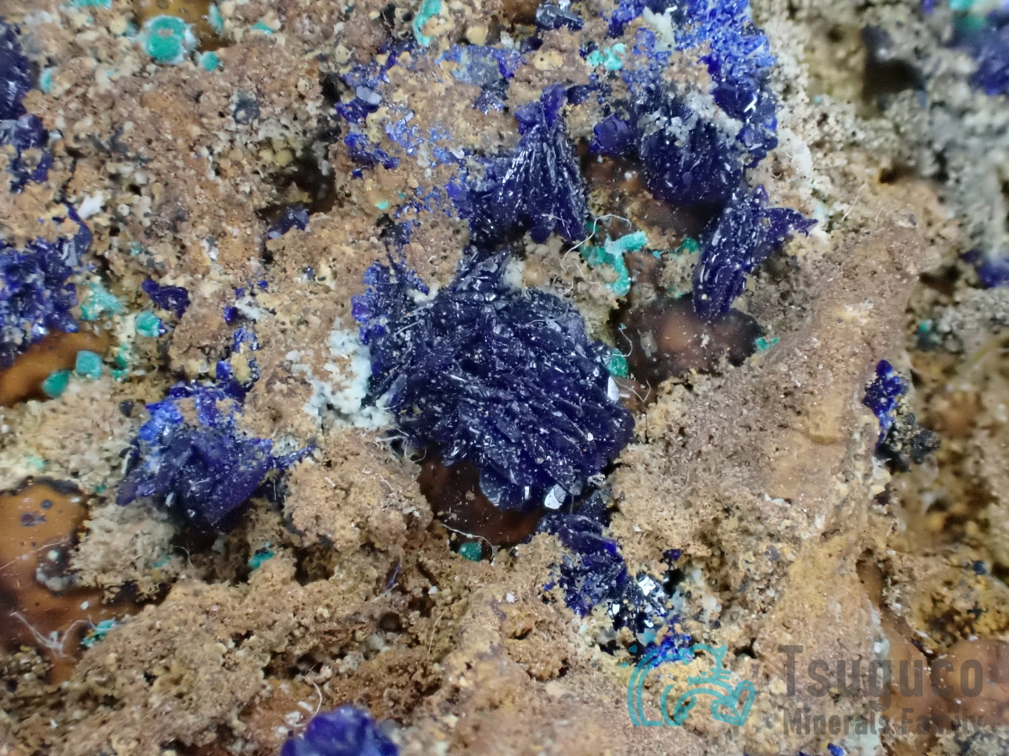 珍品　天然石　1点物　アズライト(藍銅鉱） アズライト 藍銅鉱 ドイツ TM-878 | つぐこみねらるず ｜鉱物・原石