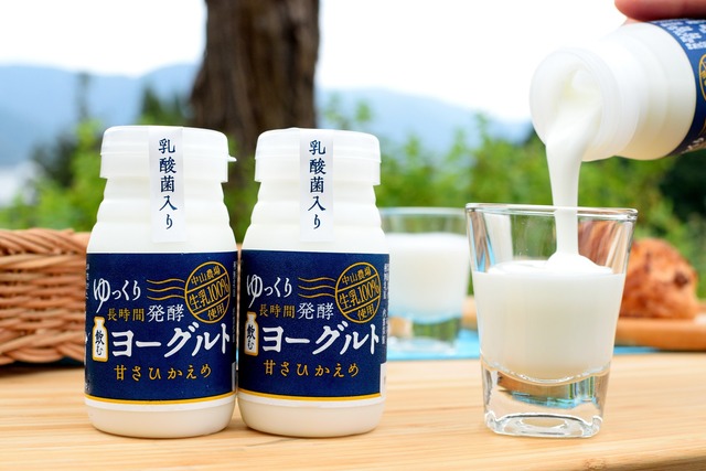 【中山農場生乳】 ゆっくり長時間発酵のむヨーグルト 11本×2箱