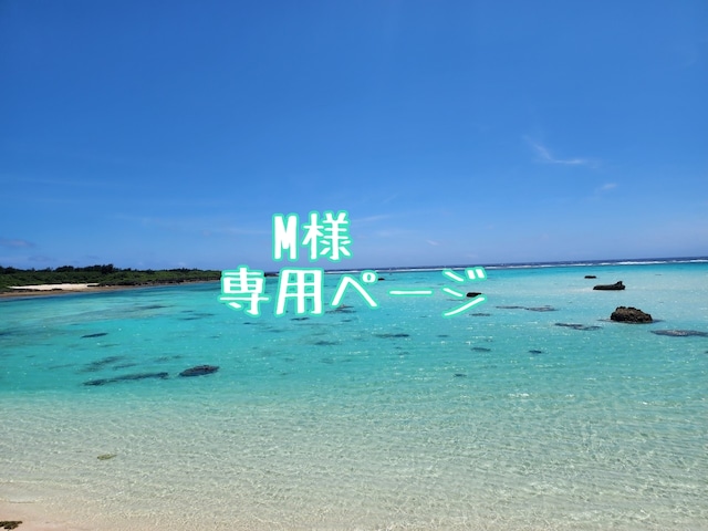 M様専用ページ