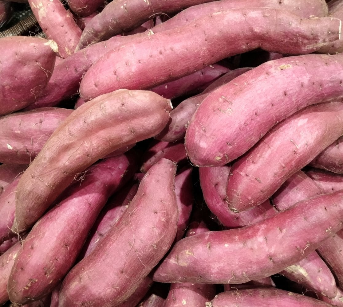 生いも 1.8kg・サイズ混合】無農薬・化学肥料不使用 さつまいも（品種 