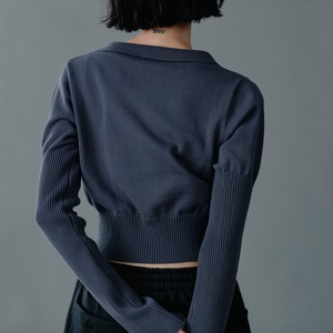 【23A/W】AO-44 MINI POLO L/S / dark gray