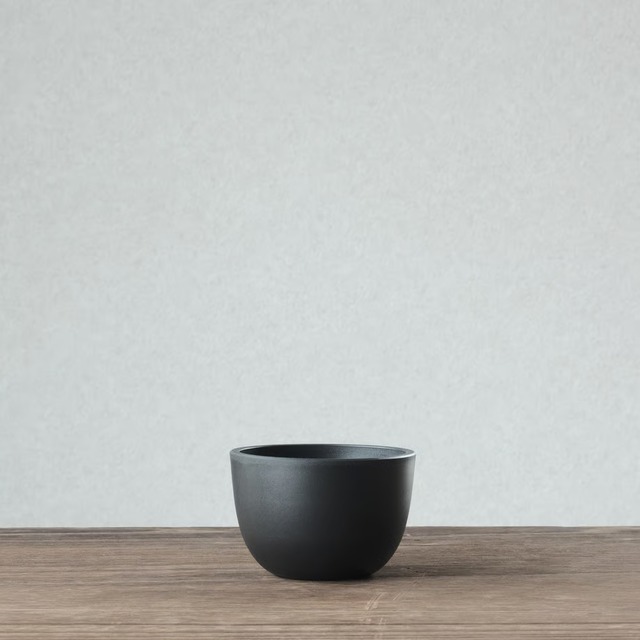 Maceta PlasticPot BowlMid Size5