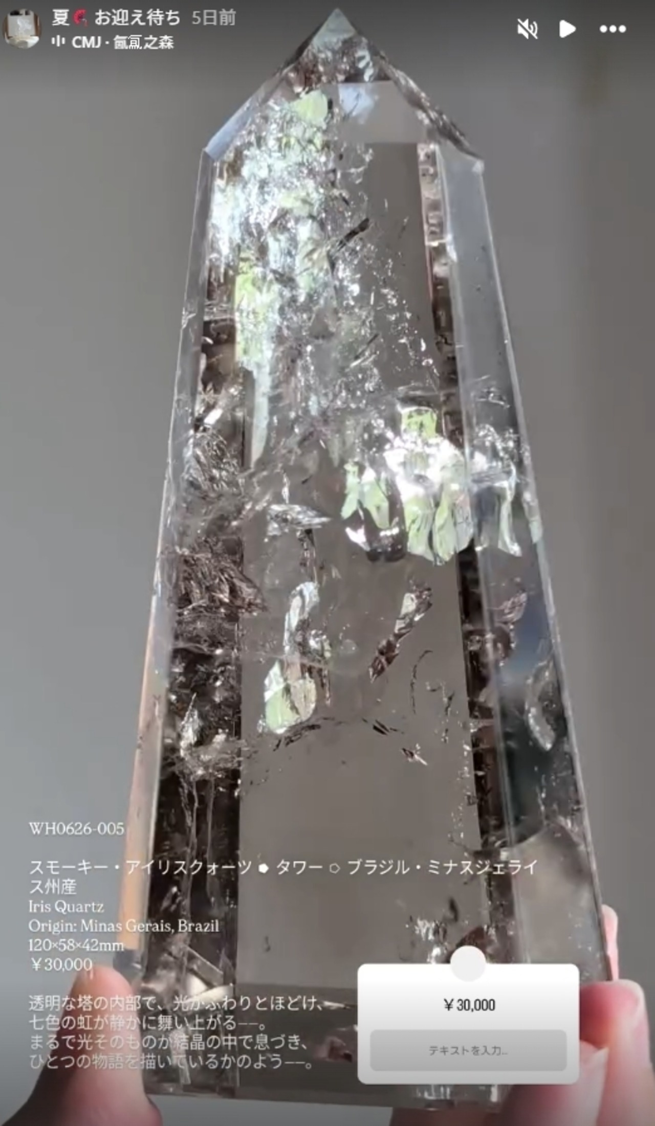 ⭔ お客様専用ページ ✦ mahoka_0319