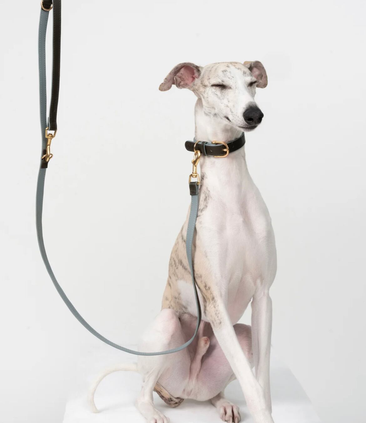 Italian Leather Dog Leash Blue ote.