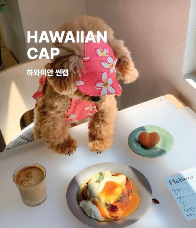 【THEREST OF LIFE】HAWAIIAN FLOWER CAP(4color)