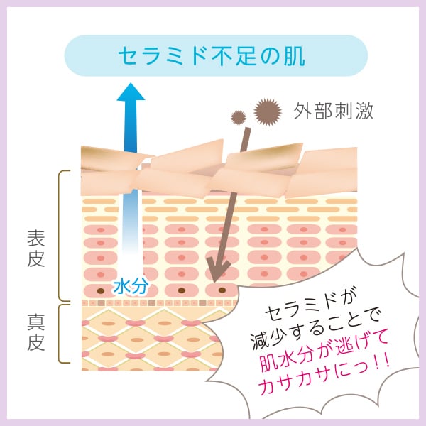 クリューベル　エッセンスSXプラス美容液