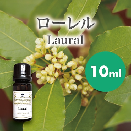 精油　ローレル10ml【英国直輸入】