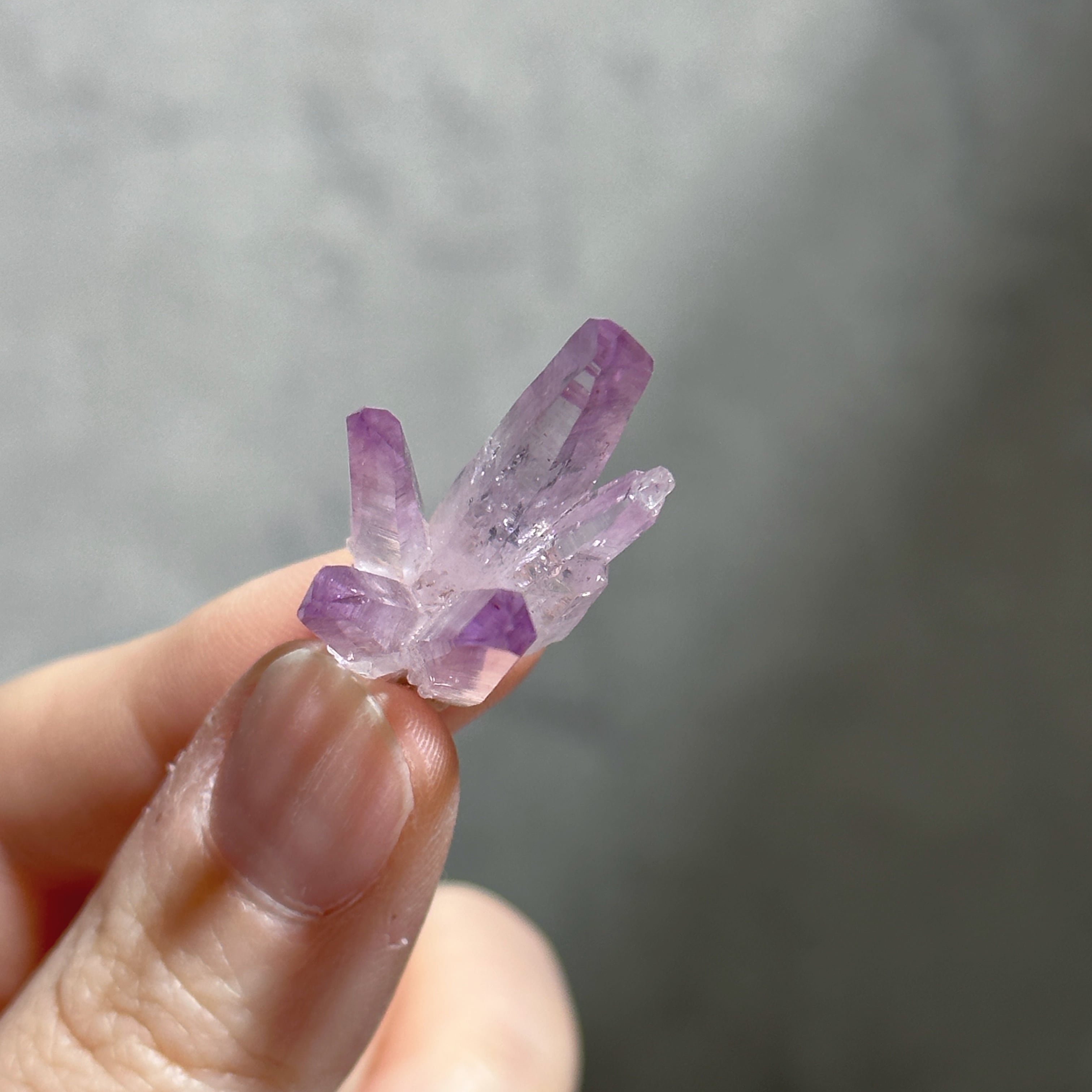 ベラクルスアメジスト81◇ Vera Cruz Amethyst ◇天然石・鉱物