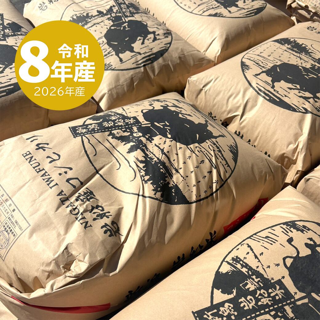 新米 岩船産コシヒカリ 10kg 令和8年産 | 越後の稲穂屋